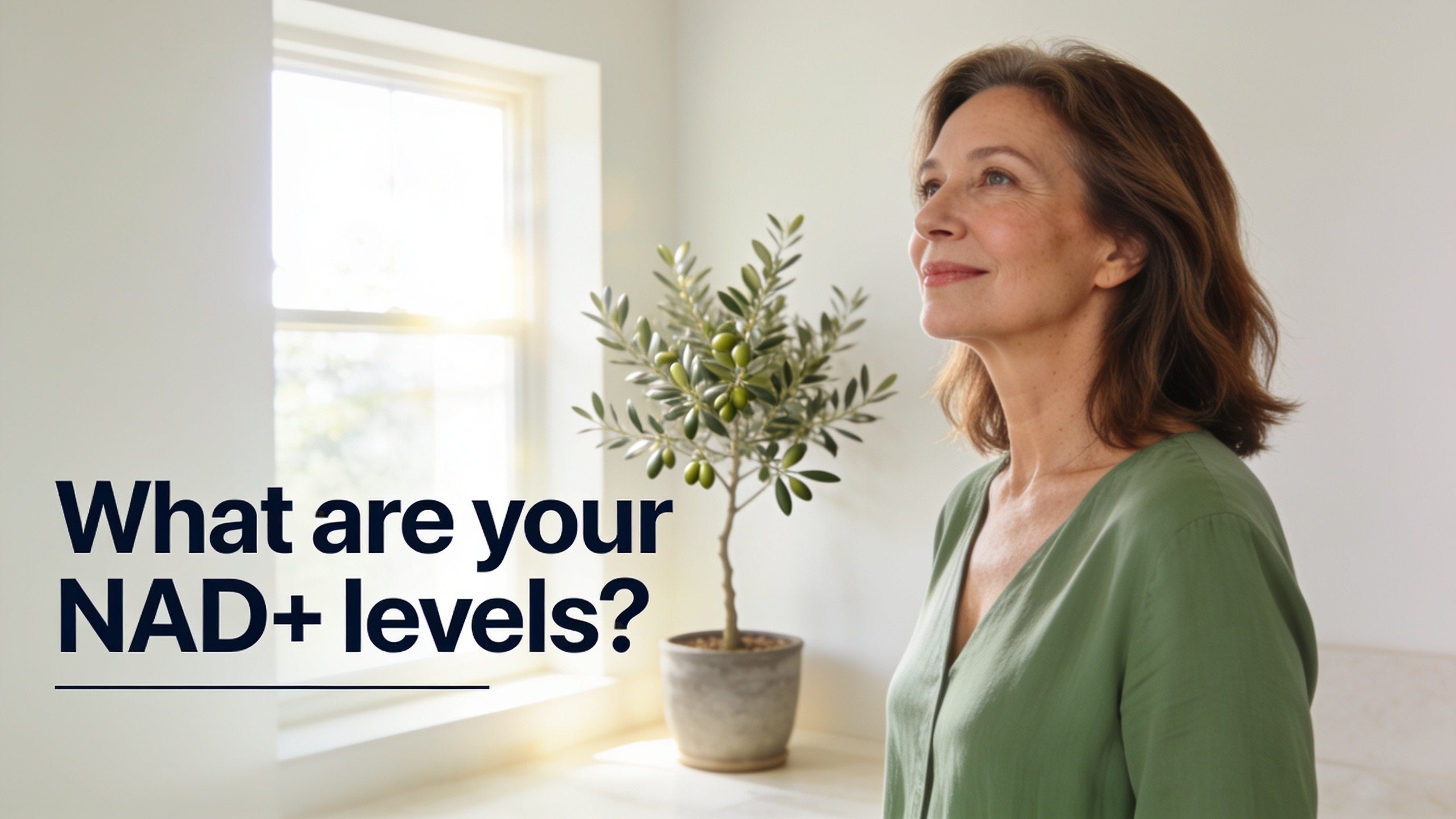 Woman in her 50s in a sunlit room beside an olive tree — What are your NAD+ levels?